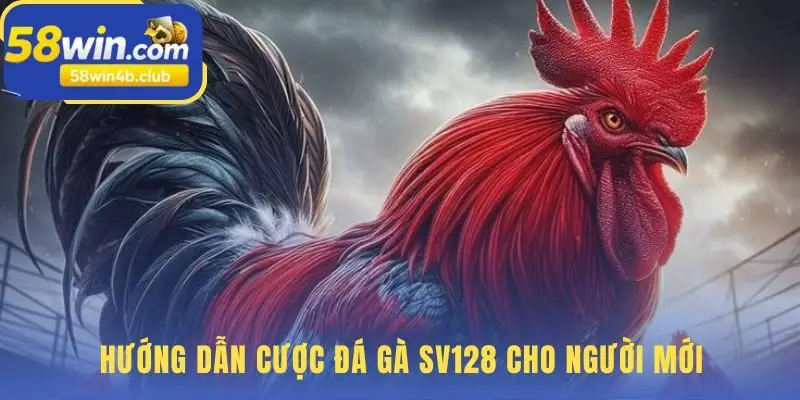 Bắt đầu đặt cược dễ dàng chỉ với vài bước cơ bản