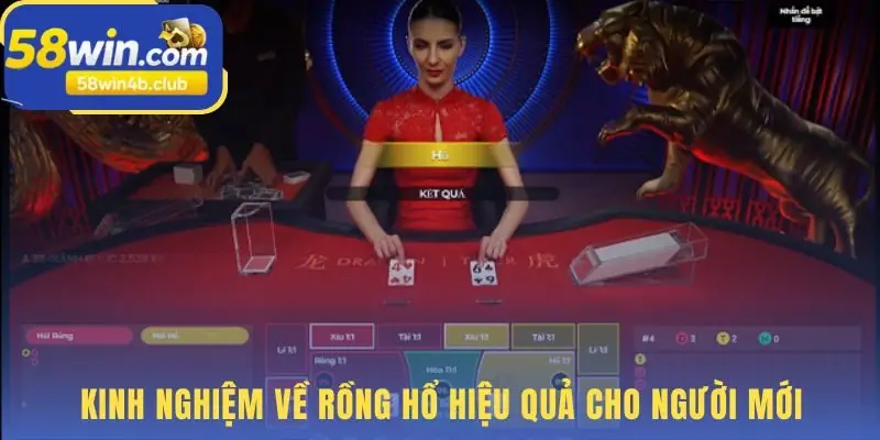 Kinh nghiệm Rồng Hổ giúp bạn chơi an toàn và bền vững