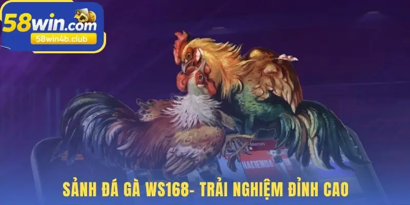 Sảnh đá gà WS168 kết hợp công nghệ hiện đại và uy tín