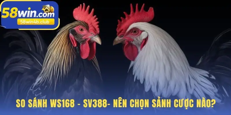 WS168 vượt trội SV388 về giao diện và đa dạng trận đấu